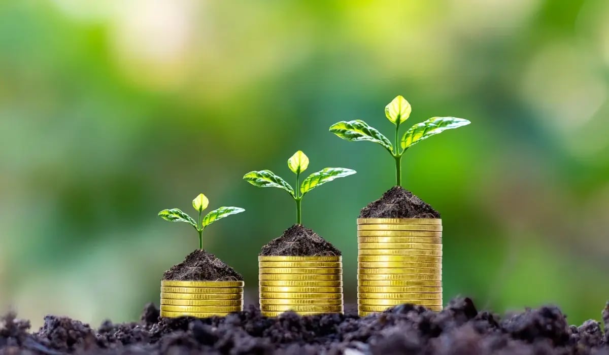 Partner ecosystem