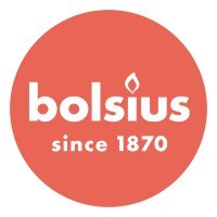 bolsiusgroup_logo