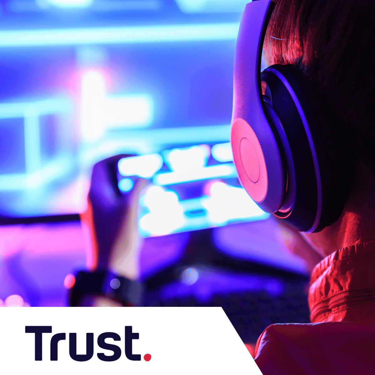 trust success story (square)