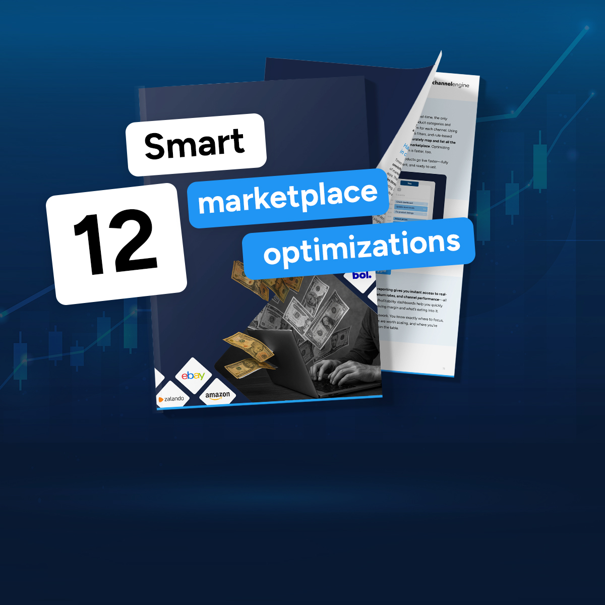 Marketplace Optimization-LP-Guide