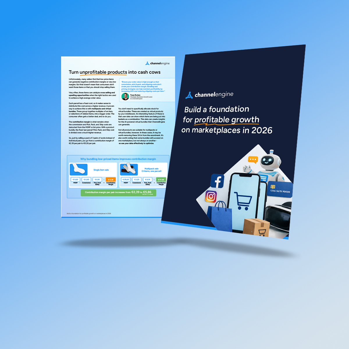 Profitabilty guide-1